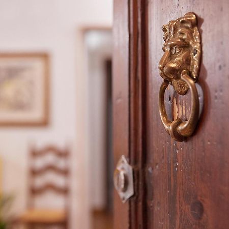 La Mi Casa A Pisa Daire Dış mekan fotoğraf